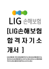 [LIG손해보험-인턴사원공채합격자기소개서]LIG손해보험자기소개서자소서,LIG손해보험자소서자기소개서,LIG자소서,손해보험합격자기소개서,엘아이지합격자소서,자기소개서