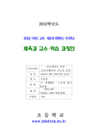 5학년 체육 발야구 지도안