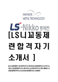 [LS니꼬동제련-최신합격자기소개서]LS니꼬동제련자소서자기소개서,니꼬동제련자기소개서자소서,LS합격자기소개서,엘에스니꼬동제련합격자소서,LSnikko동제련자소서,NIKKO