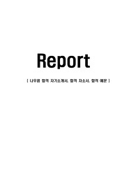 나우콤 합격 자기소개서, 합격 자소서, 합격 예문