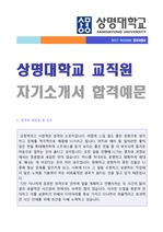 상명대학교 교직원 자기소개서 합격예문 (상명대/교직원 합격자소서)