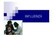 인플루엔자 / 신종플루 / 감기 차이비교