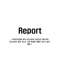 [국민건강보험 합격 자기소개서] 국민건강 보험 합격 자기소개서, 합격 자소서, 기업 특징에 적합한 자소서, 합격 예문