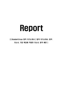 [ Bluebell Group 합격 자기소개서 ] 합격 자기소개서, 합격 자소서, 기업 특징에 적합한 자소서, 합격 예문