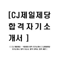 [CJ제일제당-식품영업부문합격자기소개서] CJ제일제당 자기소개서, 합격 자소서, 합격 이력서, 합격 예문