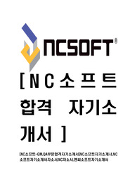 [NC소프트-GM,QA부문합격자기소개서]NC소프트자기소개서,NC소프트자기소개서자소서,NC자소서,엔씨소프트자기소개서
