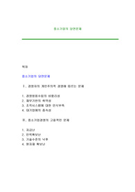 중소기업의 당면문제