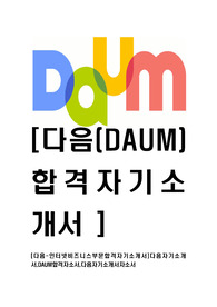 [다음-인터넷비즈니스부문합격자기소개서]다음자기소개서,DAUM합격자소서,다음자기소개서자소서