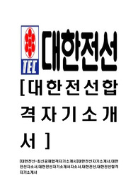 [대한전선-최신공채합격자기소개서]대한전선자기소개서,대한전선자소서,대한전선자기소개서자소서,대한전선,대한전선합격자기소개서