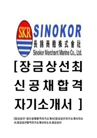 [장금상선-최신공채합격자기소개서]장금상선자기소개서자소서,장금상선합격자기소개서자소서,장금상선