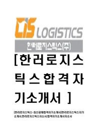 [한러로지스틱스-최신공채합격자기소개서]한러로지스틱스자기소개서,한러로지스틱스자소서,합격자기소개서자소서