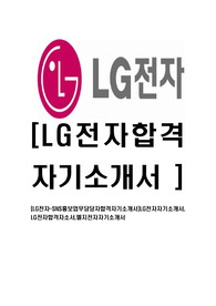 [LG전자-SNS홍보업무담당자합격자기소개서]LG전자자기소개서, LG전자합격자소서,엘지전자자기소개서