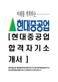 [현대중공업-해양플랜트분야합격자기소개서]현대중공업자기소개서,현대중공업합격자소서,현대자기소개서자소서
