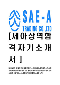 [세아상역-영업부문공채합격자기소개서]세아상역자기소개서자소서,세아상역자소서자기소개서,세아자소서,상역합격자기소개서,SAE-A합격자소서,새아상역자기소개서,세아상역
