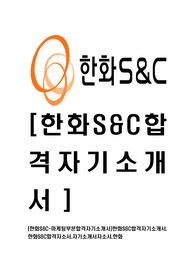 [한화S&amp;C-마케팅부문합격자기소개서]한화S&amp;C합격자기소개서, 한화S&amp;C합격자소서,자기소개서자소서,한화