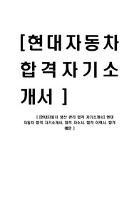 [현대자동차-생산관리부문합격자기소개서]현대자동차합격자기소개서,현대자동차합격자소서,자기소개서자소서,입사지원서