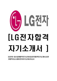 [LG전자-영업분야최신합격자기소개서]LG전자합격자기소개서,LG전자합격자소서,엘지전자자기소개서자소서
