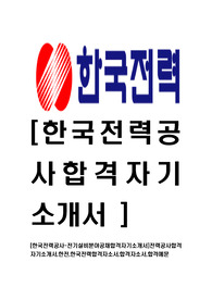[한국전력공사-전기설비분야공채합격자기소개서]전력공사합격 자기소개서,한전,한국전력합격자소서,합격자소서,합격예문