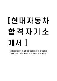 [현대자동차-생산기술부문공채합격자기소개서]현대자동차 합격 자기소개서, 현대 자동차, 합격 자소서, 현대차자기소개서, 합격 예문