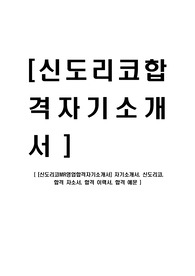 [신도리코 최신공채합격자기소개서] 자기소개서, 신도리코, 합격 자소서, 합격 이력서, 합격 예문