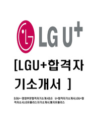 [LGU+-영업부문합격자기소개서]LG U+합격자기소개서,LGU+합격자소서,LG유플러스자기소개서,엘지유플러스