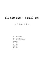 cesarean section 산욕부간호