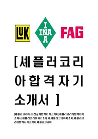 [셰플러코리아-최신공채합격자기소개서]셰플러코리아합격자기소개서,셰플러코리아자기소개서,셰플러코리아자소서,셰플러코리아합격자기소개서,셰플러코리아