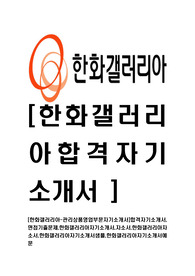 [한화갤러리아-관리상품영업부문자기소개서]합격자기소개서,면접기출문제,한화갤러리아자기소개서,자소서,한화갤러리아자소서,한화갤러리아자기소개서샘플,한화갤러리아자기소개서예문