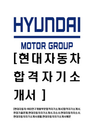 [현대자동차-R&amp;D연구개발부문합격자기소개서]합격자기소개서,면접기출문제,현대자동차자기소개서,자소서,현대자동차자소서,현대자동차자기소개서샘플,현대자동차자기소개서예문
