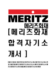 [메리츠화재-영업부문최신합격자기소개서]합격자기소개서,면접기출문제,메리츠화재자기소개서,자소서,메리츠화재자소서,메리츠화재자기소개서샘플,메리츠화재자기소개서예문