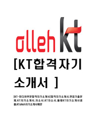 [KT-미디어부문합격자기소개서]합격자기소개서,면접기출문제,KT자기소개서,자소서,KT자소서,올레KT자기소개서샘플,KTolleh자기소개서예문