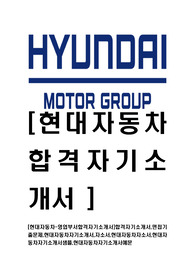 [현대자동차-영업부문합격자기소개서]합격자기소개서,면접기출문제,현대자동차자기소개서,자소서,현대자동차자소서,현대자동차자기소개서샘플,현대자동차자기소개서예문