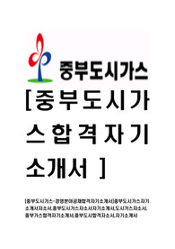 [중부도시가스-경영분야공채합격자기소개서]중부도시가스자기소개서자소서,중부도시가스자소서자기소개서,도시가스자소서,중부가스합격자기소개서,중부도시합격자소서,자기소개서