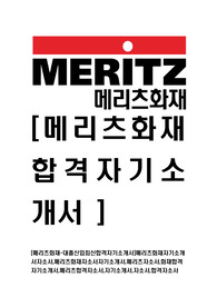 [메리츠화재-대졸신입최신합격자기소개서]메리츠화재자기소개서자소서,메리츠화재자소서자기소개서,메리츠자소서,화재합격자기소개서,메리츠합격자소서,자기소개서,자소서,합격자소서
