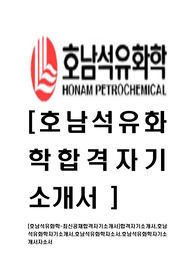 [호남석유화학-최신공채합격자기소개서]합격자기소개서,호남석유화학자기소개서,호남석유화학자소서,호남석유화학자기소개서자소서
