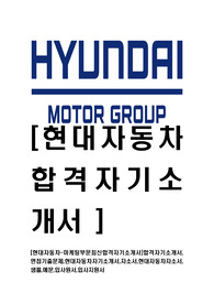 [현대자동차-마케팅부문최신합격자기소개서]합격자기소개서,면접기출문제,현대자동차자기소개서,자소서,현대자동차자소서,샘플,예문,입사원서,입사지원서