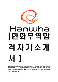 [한화그룹-무역부문최신공채합격자기소개서]한화무역합격자기소개서,한화무역자기소개서,자소서,한화그룹자기소개서,한화자소서,입사지원서