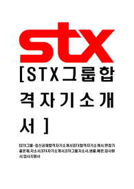 [STX그룹-최신공채합격자기소개서]STX합격자기소개서,면접기출문제,자소서,STX자기소개서,STX그룹자소서,샘플,예문,입사원서,입사지원서
