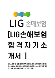 [LIG손해보험-최신공채합격자기소개서]LIG손해보험자기소개서자소서,LIG손해보험자소서자기소개서,LIG자소서,손해보험합격자기소개서,엘아이지합격자소서,자기소개서,자소서,합격자기소개서,자기소개서자소서