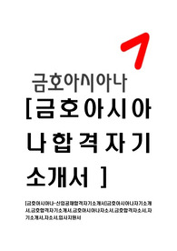 [금호아시아나-최신공채합격자기소개서]금호아시아나자기소개서,금호합격자기소개서,금호아시아나자소서,금호합격자소서,자기소개서,자소서,입사지원서