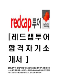 [레드캡투어-최신공채합격자기소개서]레드캡투어자기소개서자소서,레드캡투어자소서자기소개서,Redcaptour자소서,레드캡합격자기소개서,레드켑합격자소서,자기소개서,자소서