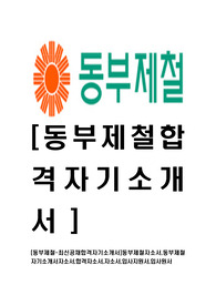 [동부제철-최신공채합격자기소개서]동부제철자소서,동부제철자기소개서자소서,합격자소서,자소서,입사지원서,입사원서