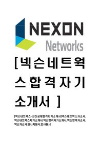 [넥슨네트웍스-최신공채합격자기소개서]넥슨네트웍스자소서,넥슨네트웍스자기소개서,넥슨합격자기소개서,넥슨합격자소서,넥슨자소서,입사지원서,입사원서