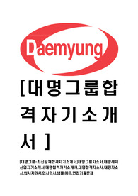 [대명그룹-최신공채합격자기소개서]대명그룹자소서,대명레저산업자기소개서,대명합격자기소개서,대명합격자소서,대명자소서,입사지원서,입사원서,샘플,예문,면접기출문제