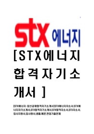 [STX에너지-최신공채합격자기소개서]STX에너지자소서,STX에너지자기소개서,STX합격자기소개서,STX합격자소서,STX자소서,입사지원서,입사원서,샘플,예문,면접기출문제