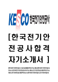 [한국전기안전공사-최신공채합격자기소개서]한국전기안전공사자소서,한국전기안전공사자기소개서,전기안전공사합격자기소개서,전기안전공사합격자소서,한국전기안전공사,전기안전공사