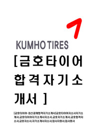 [금호타이어-최신공채합격자기소개서]금호타이어자소서자기소개서,금호타이어자기소개서자소서,금호자기소개서,금호합격자소서,금호자소서,자기소개서자소서,입사지원서,입사원서