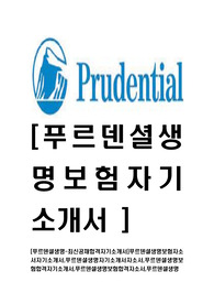 [푸르덴셜생명-최신공채합격자기소개서]푸르덴셜생명보험자소서자기소개서,푸르덴셜생명자기소개서자소서,푸르덴셜생명보험합격자기소개서,푸르덴셜생명보험합격자소서,푸르덴셜생명