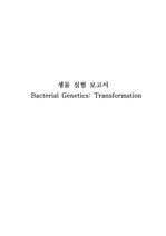 일반생물(공학생물) 형질전환 실험 보고서 A+ 리포트