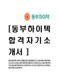 [동부하이텍-최신공채합격자기소개서]동부하이텍자소서자기소개서,동부하이텍건설자기소개서자소서,동부합격자기소개서,동부합격자소서,동부자소서,자기소개서자소서,이력서,입사지원서,입사원